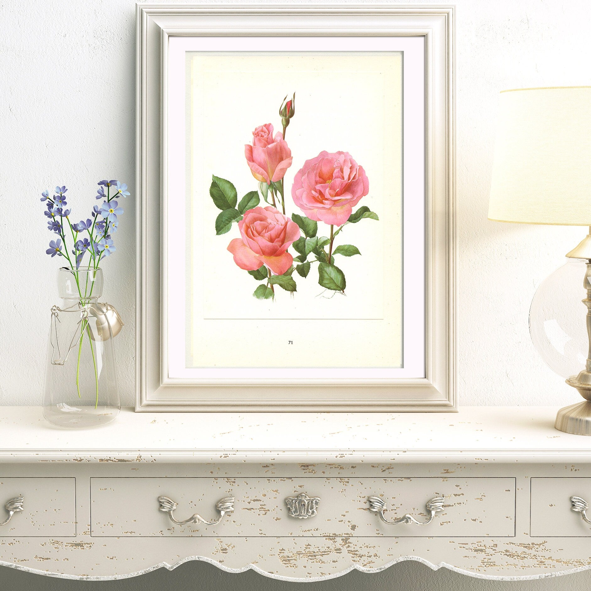 1962 Set of 2 Pink Roses art Queen Elizabeth + Tiffany Vintage Botanical art. Floral print. French country decor Botanical Roses poster