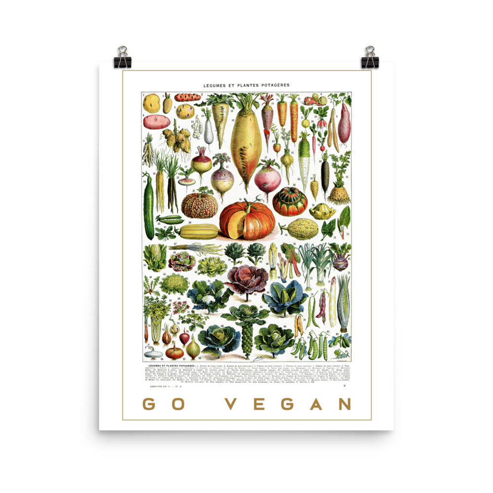 Large Go Vegan Vegetables poster