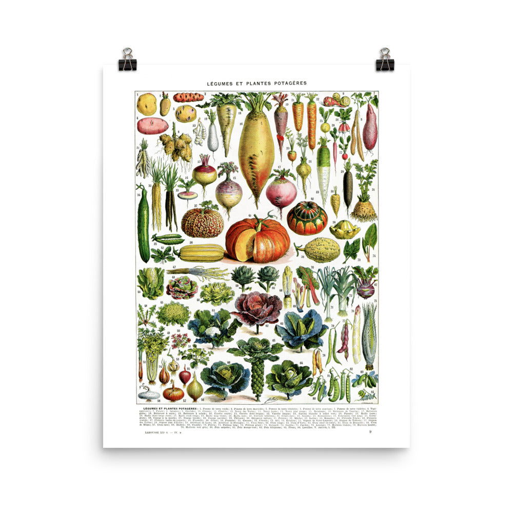 Grande affiche de légumes par Adolphe MIllot. Poster vertical