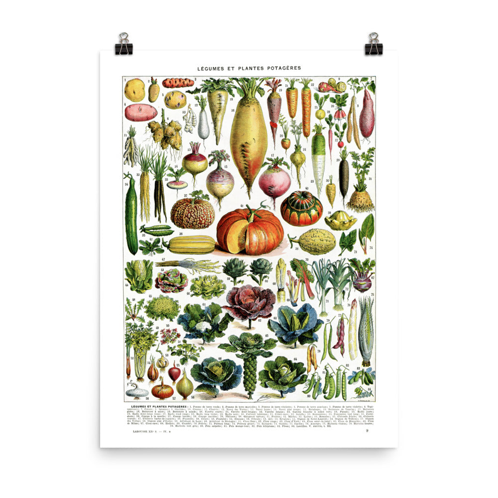 Large Vegetables chart poster for kitchen decor by Adolphe Millot