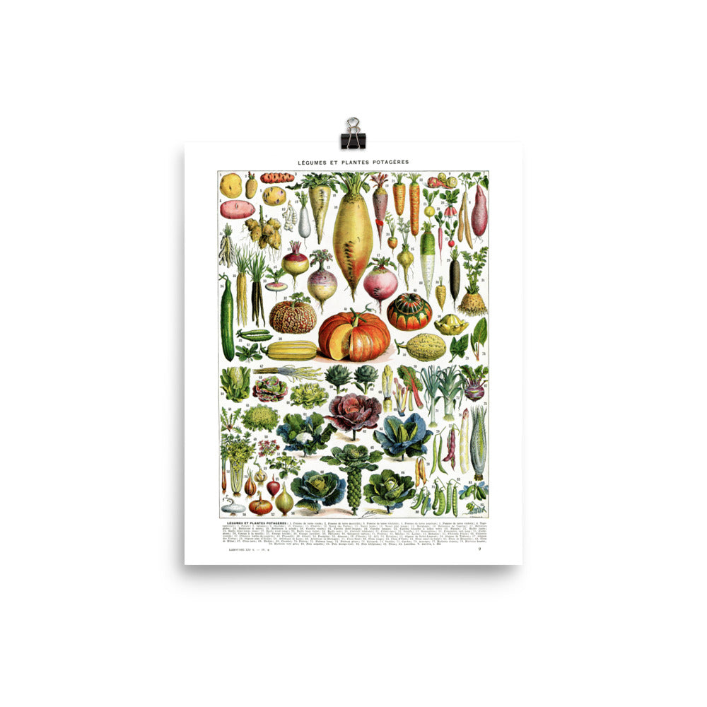 Grande affiche de légumes par Adolphe MIllot. Poster vertical