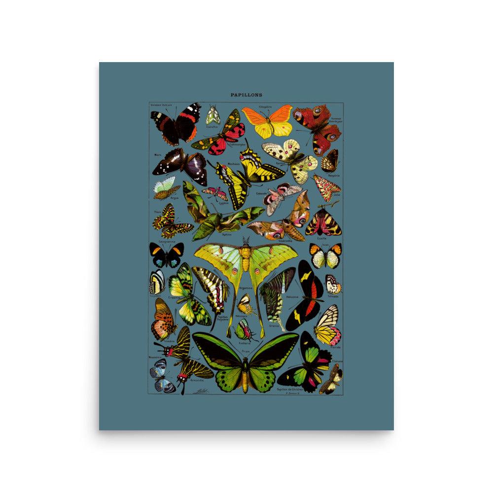 large luster paper butterflies poster from a 1920s french vintage dictionary print on slate blue background