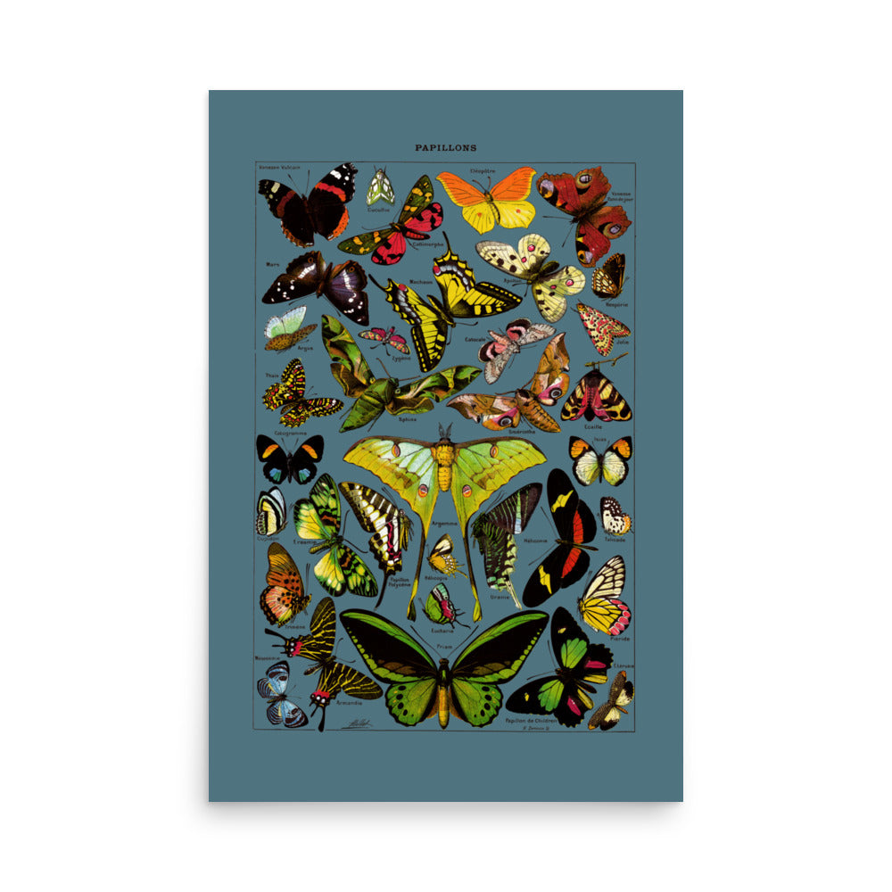 Large Slate Blue Butterflies Poster - Luster Photo Paper