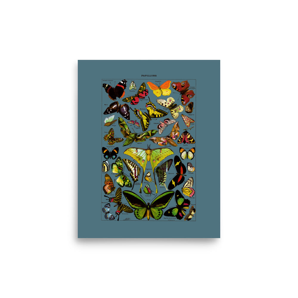 Large Slate Blue Butterflies Poster - Luster Photo Paper