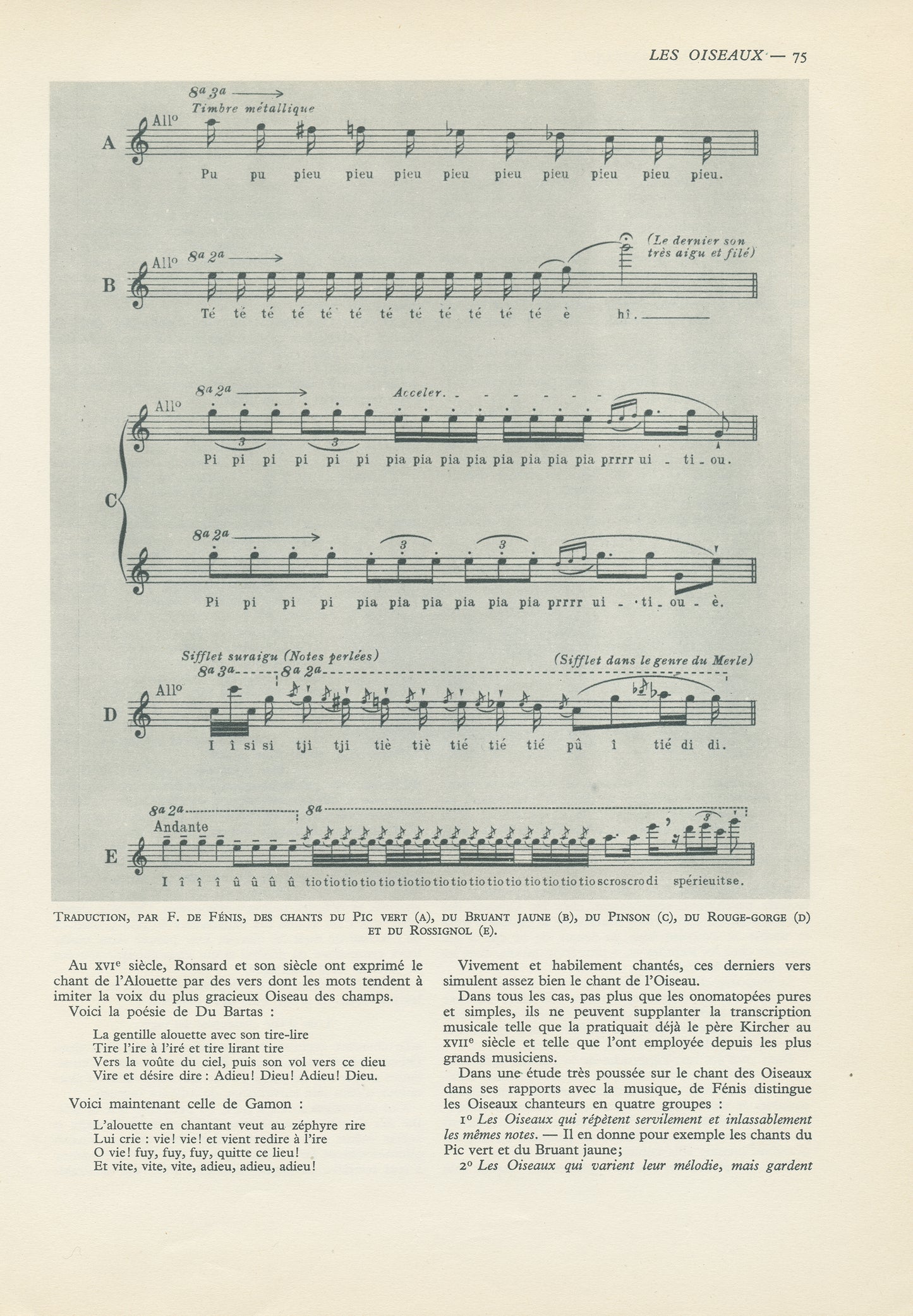 1949 Transcription de chants d'oiseaux