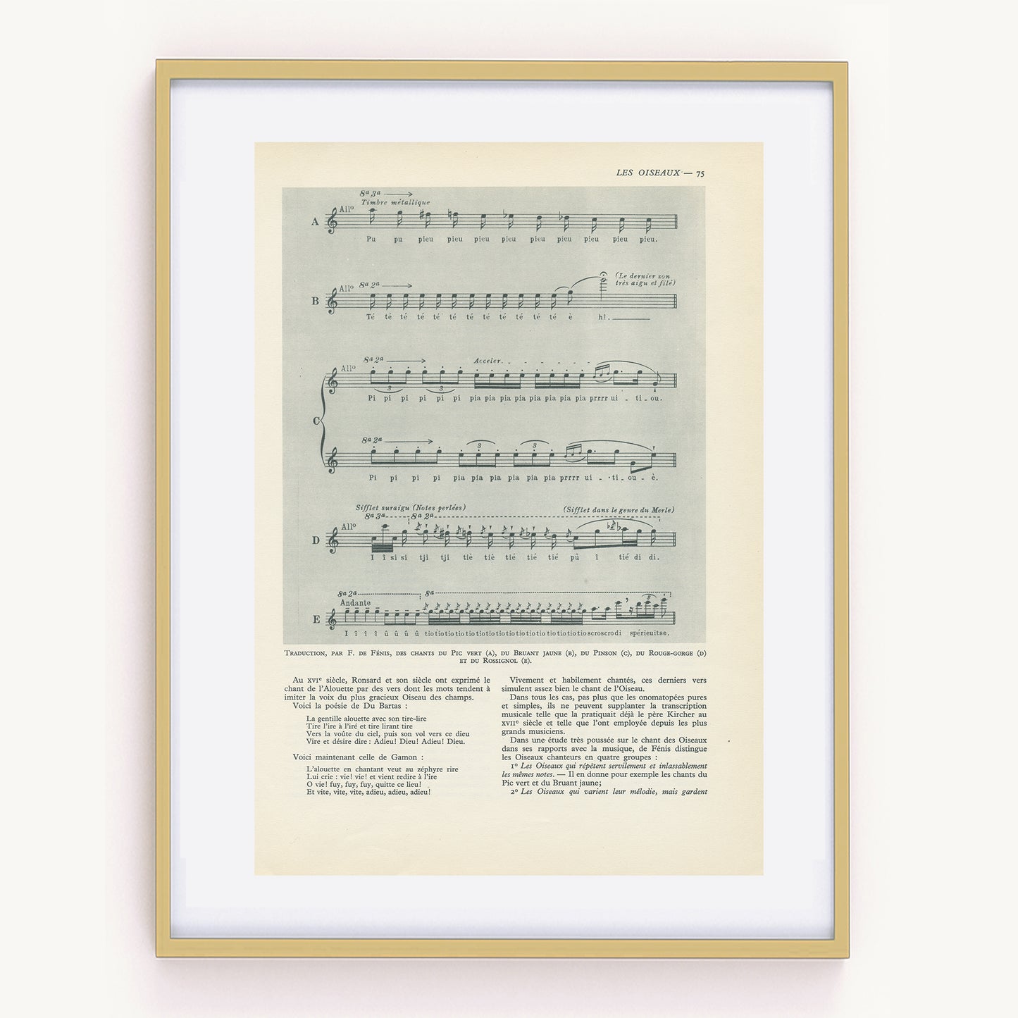 1949 Bird songs transcription print